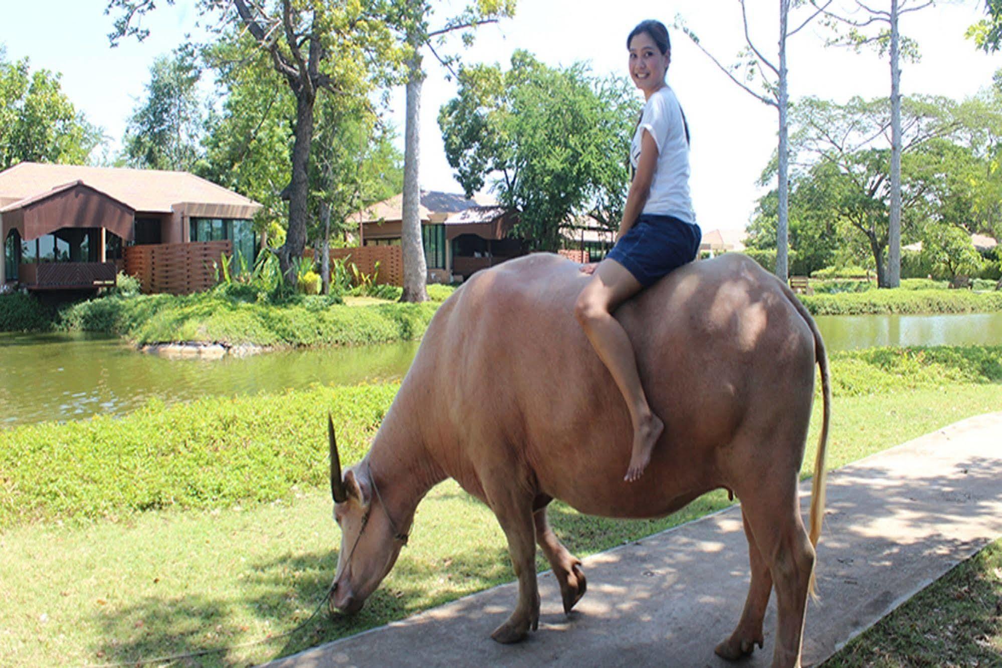 Wishing Tree Resort, Khon Kaen Eksteriør bilde